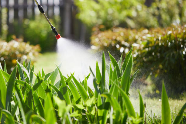 24/7 Emergency Wasp Removal experts in Mountain Iron, MN