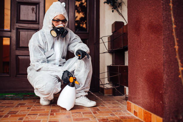 Reliable Wasp Removal contractor in Mountain Iron, MN by Show Me Pest Control